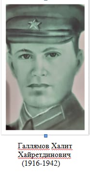 Галлямов Халит Хайретдинович, Альшеевский район