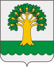 В Архангельском районе прошел конкурс по вопросам избирательного права и избирательного процесса среди граждан с ограниченными физическими возможностями старше 18 лет