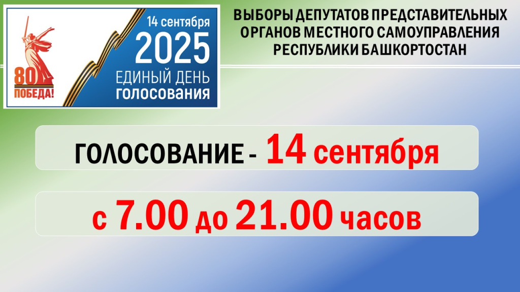 голосование 2025.jpg