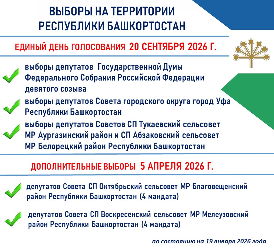 1 Планы на выборы на 2026.jpg