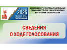 Данные по явке на 18:00: проголосовало 75 511 избирателей