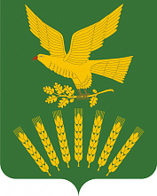 В Куюргазинском районе состоялось заседание Экспертной комиссии территориальной избирательной комиссии