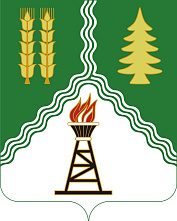 В Краснокамском районе состоялось первое заседание территориальной избирательной комиссии нового состава 