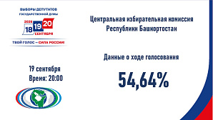 Явка избирателей