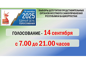 Ход голосования на выборах депутатов представительных органов местного самоуправления
