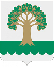 В Архангельском районе начались избирательные кампании по выборам депутатов в местные Советы В Архангельском районе начались избирательные кампании по выборам депутатов в местные Советы